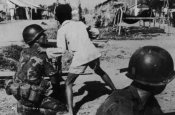 arvn11.jpg