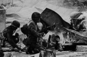 arvn12.jpg