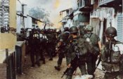 arvn13.jpg