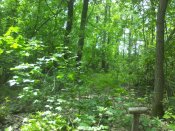 IMG_20180520_115923.jpg