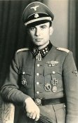 петлицы