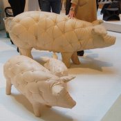 pig021.jpg