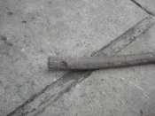 DSC03166.JPG