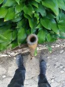 20180624_101844.jpg