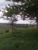 03062012118.jpg