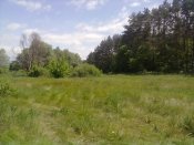 03062012120.jpg