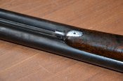 DSC_1006.JPG