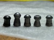 P80625-094946.jpg