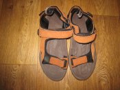IMG_5130.JPG