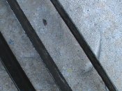 DSC00086.JPG