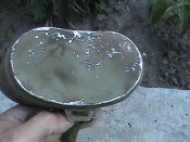 DSC00105.JPG