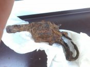 20180627_095832.jpg