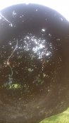 IMG_20180628_173025.jpg