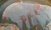 20180629_191158.jpg