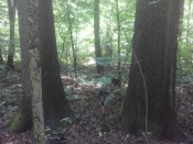 IMG_20180629_122717.jpg