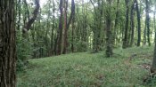 IMG_20180701_104922.jpg
