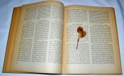 Книга " Хорватия Земля красоты" 1944 г.