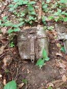 20180617_105344.jpg