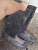 20180702_125233.jpg