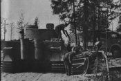 502s.Pz.Abt._№312_07.jpg