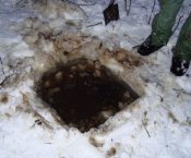 полынья.jpg