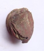 DSC09479.JPG