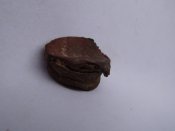 DSC09481.jpg
