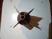 Изображение 312.jpg