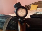 20180704_191754.jpg