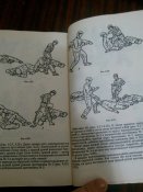 IMG_20180704_222739.jpg
