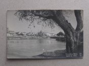 P1010011.jpg