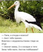 F80F9759-4EEA-408B-A97C-070CDBF87666.jpeg
