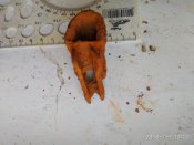 IMG_20180707_131305.jpg