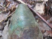 IMG_1447_thumb_thumb.jpg