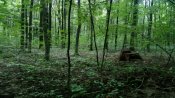 IMG_20180708_085228.jpg