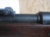 IMG_7341.jpg
