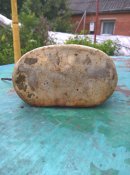 WP_20180710_17_08_03_Pro.jpg