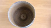 DSC01305.jpg
