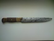 DSC03420.jpg