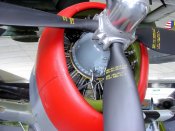 p-47d_226413_01_of_40.jpg