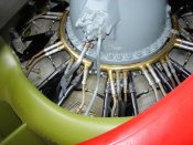 p-47d_226413_03_of_40.jpg