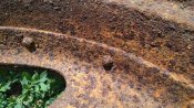 IMG_20180714_124614.jpg