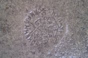 IMAG3721-1.jpg