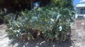 2012-06-01_12-04-02_912.jpg