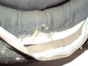 DSC01278.JPG