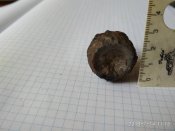 IMG_20180714_111550.jpg