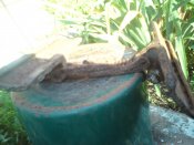 DSC00846.jpg