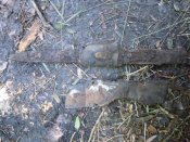 DSCN5181.jpg