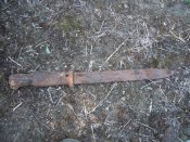 DSCN5190.jpg