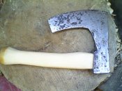 IMG0887A.jpg